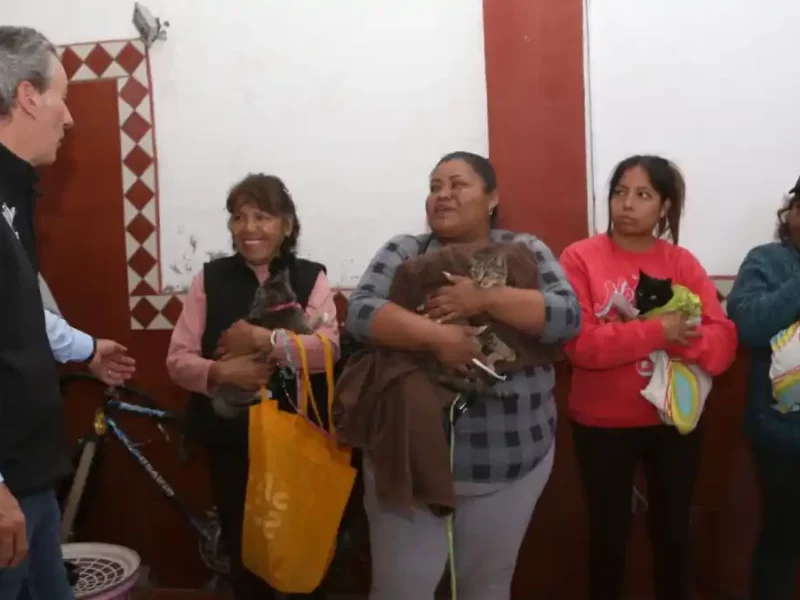 Realiza Gobierno de la Ciudad acciones en favor del bienestar animal en la capital