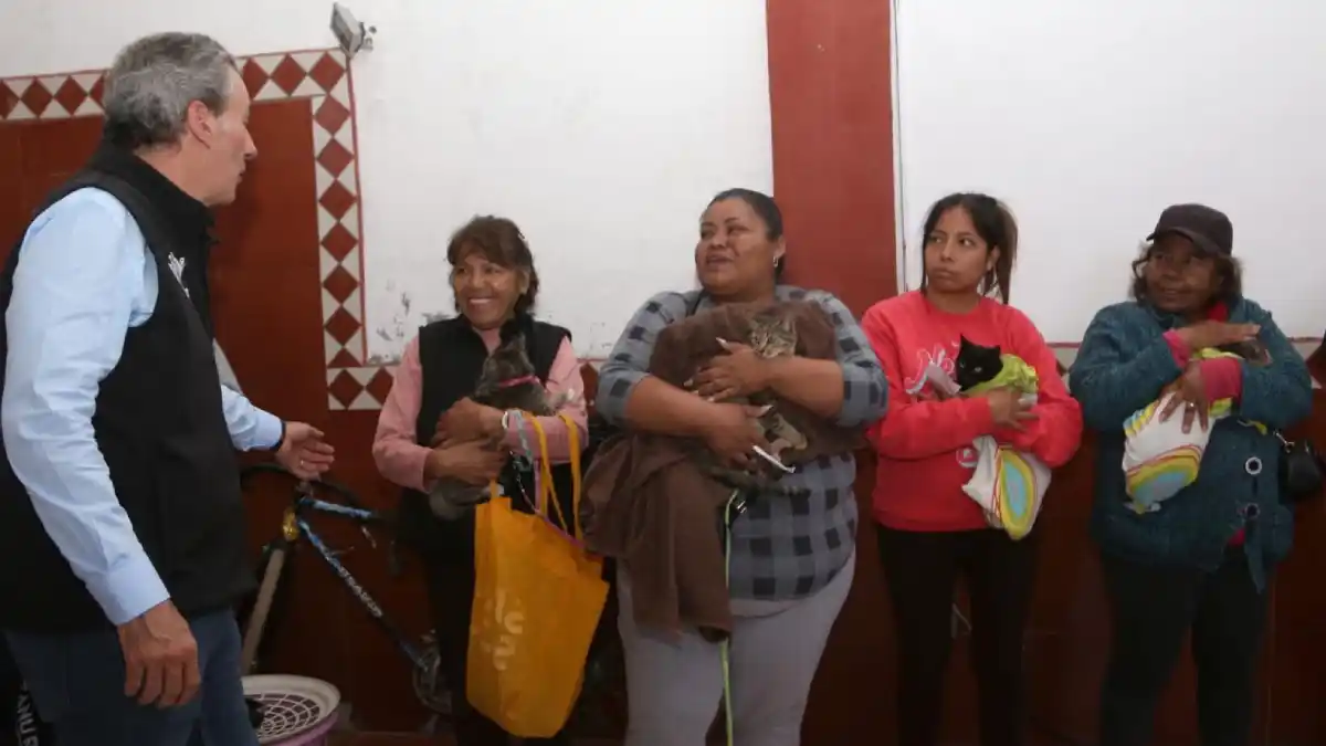 Realiza Gobierno de la Ciudad acciones en favor del bienestar animal en la capital