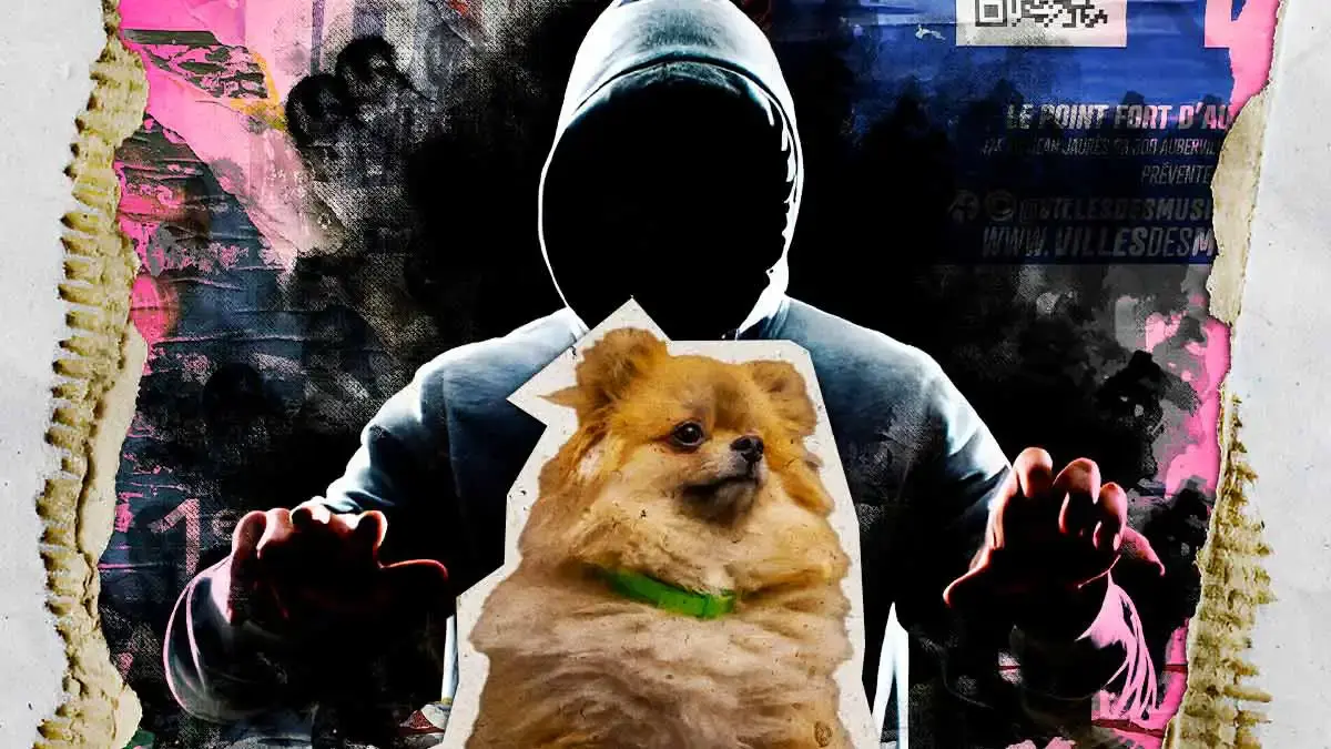 Mujer sufre extorsión tras extraviar a “Papi”, su pomerania en Puebla