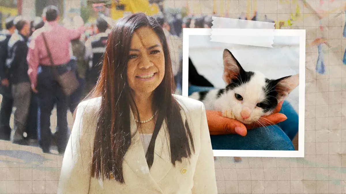 Ariadna Ayala, continúa impulsando las Jornadas Gratuitas de Esterilización y Atención Médica Animal en Atlixco