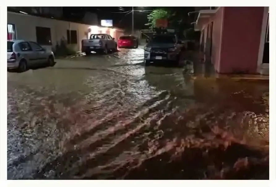 Fuertes lluvias en la Sierra Norte de Puebla provocan deslave en carretera federal México-Tuxpan