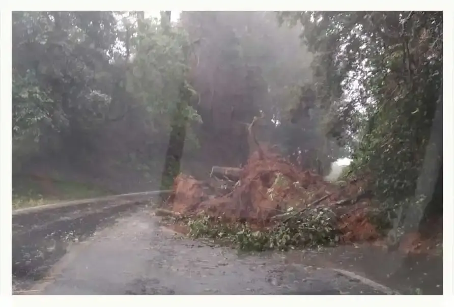Fuertes lluvias en la Sierra Norte de Puebla provocan deslave en carretera federal México-Tuxpan