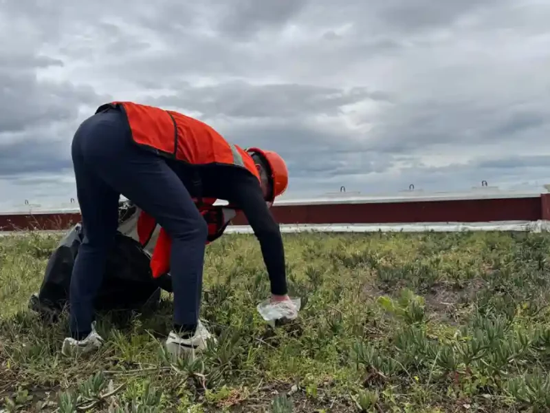 Congreso del Estado pendiente de afectaciones por lluvias