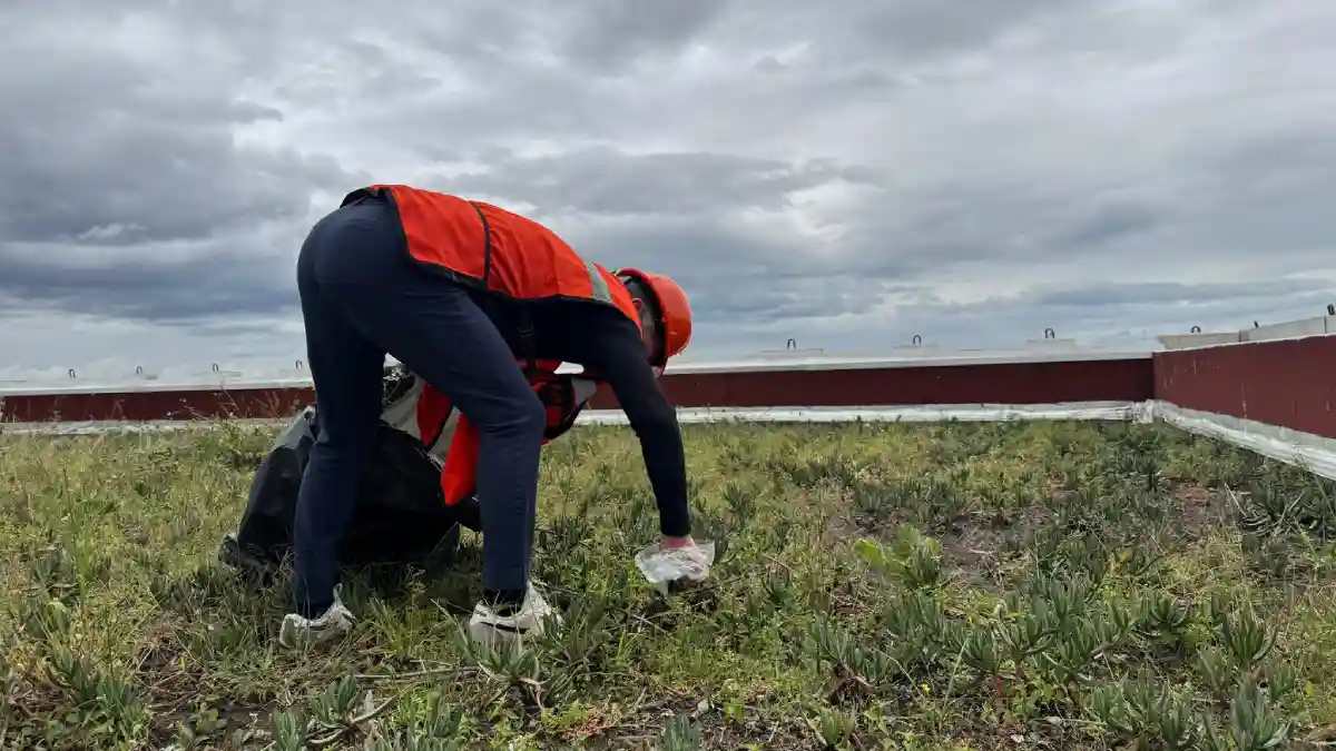 Congreso del Estado pendiente de afectaciones por lluvias
