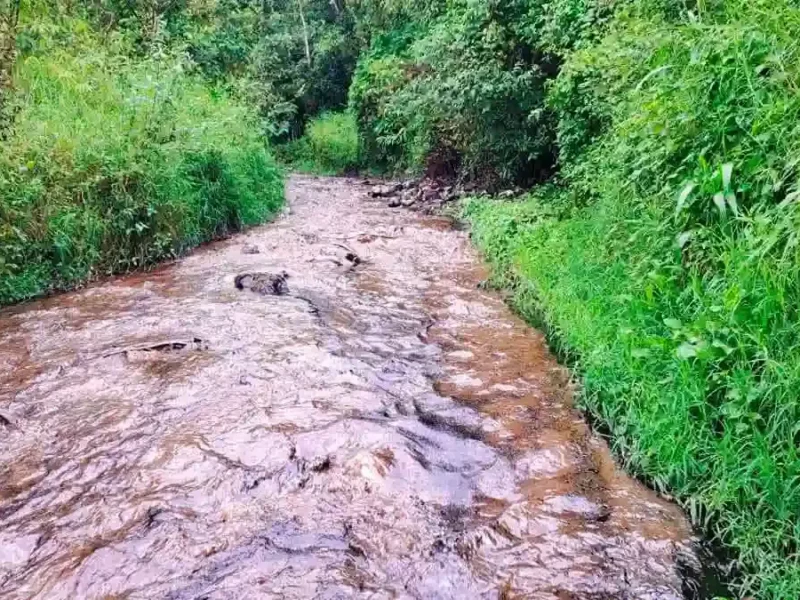Derrame de hidrocarburo contamina por cuarta ocasión el río San Marcos en Xicotepec, Puebla