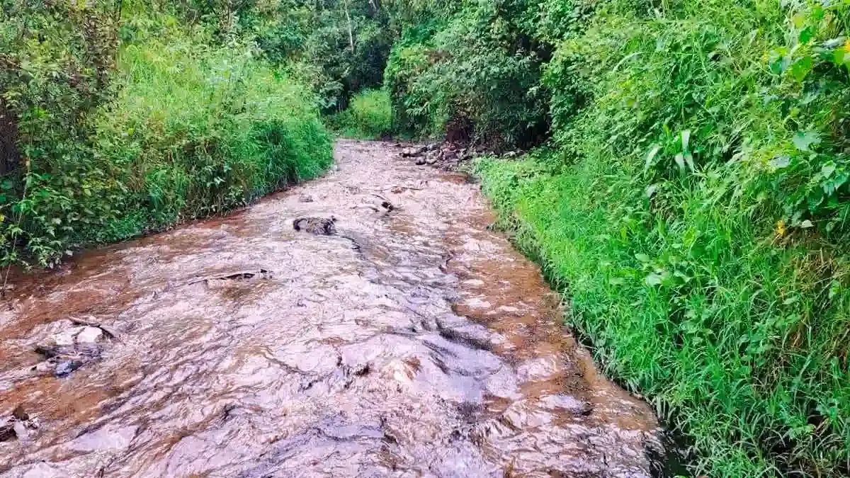 Derrame de hidrocarburo contamina por cuarta ocasión el río San Marcos en Xicotepec, Puebla