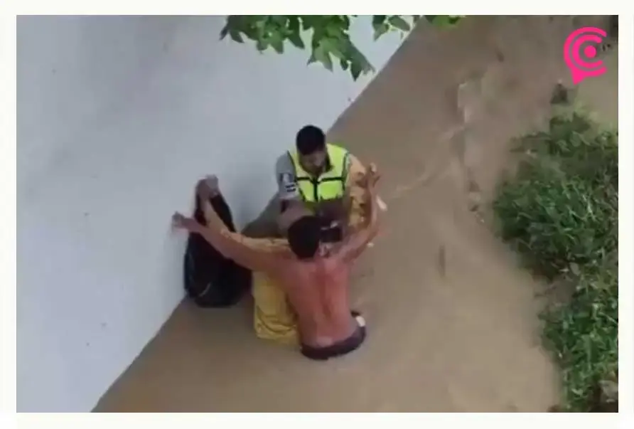Rescataron a un adulto mayor y sus 13 perros de río Pantepec desbordado en Veracruz
