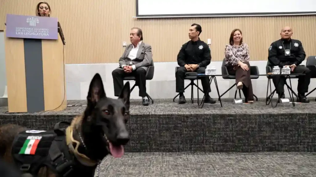 Destaca Laura Artemisa sensibilidad y compromiso de la Unidad Canina de la SSP