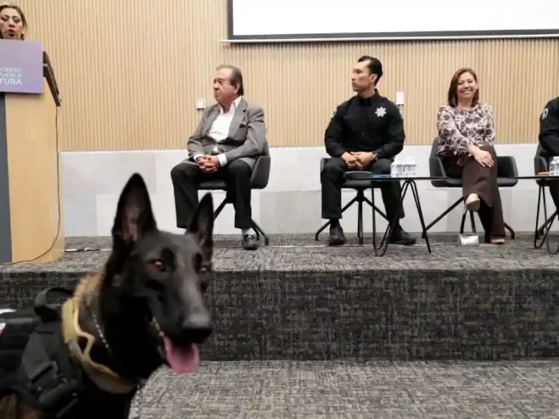 Destaca Laura Artemisa sensibilidad y compromiso de la Unidad Canina de la SSP