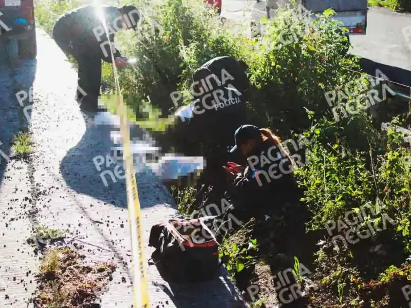 Motociclista murió tras salirse del camino en la autopista México-Puebla