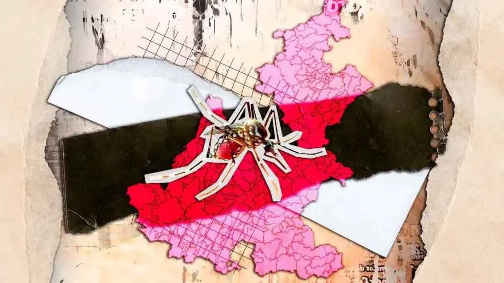 Suman 316 casos de dengue en Puebla hasta octubre 2025; el más reciente en Huauchinango