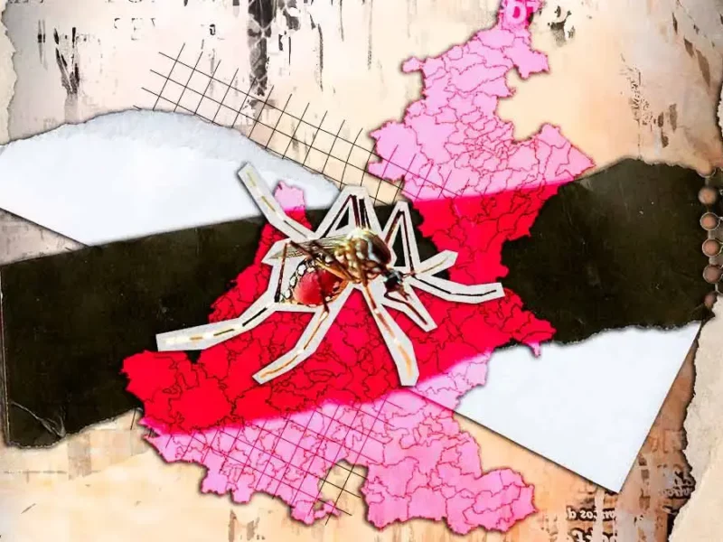Suman 316 casos de dengue en Puebla hasta octubre 2025; el más reciente en Huauchinango