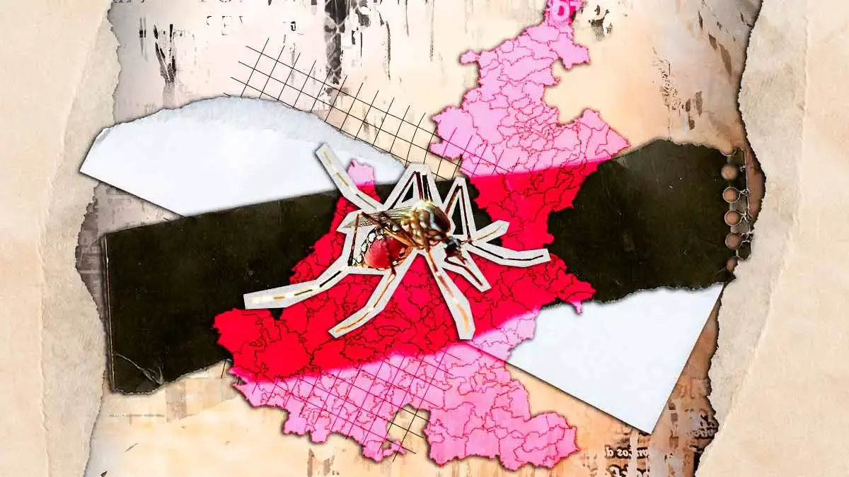 Suman 316 casos de dengue en Puebla hasta octubre 2025; el más reciente en Huauchinango