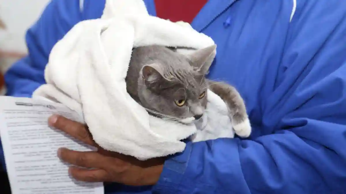 Impulsa Gobierno de la Ciudad el bienestar animal en diversas colonias de Puebla