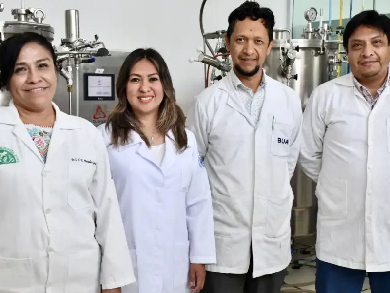 Inocrep BUAP solución biotecnológica para una agricultura sustentable