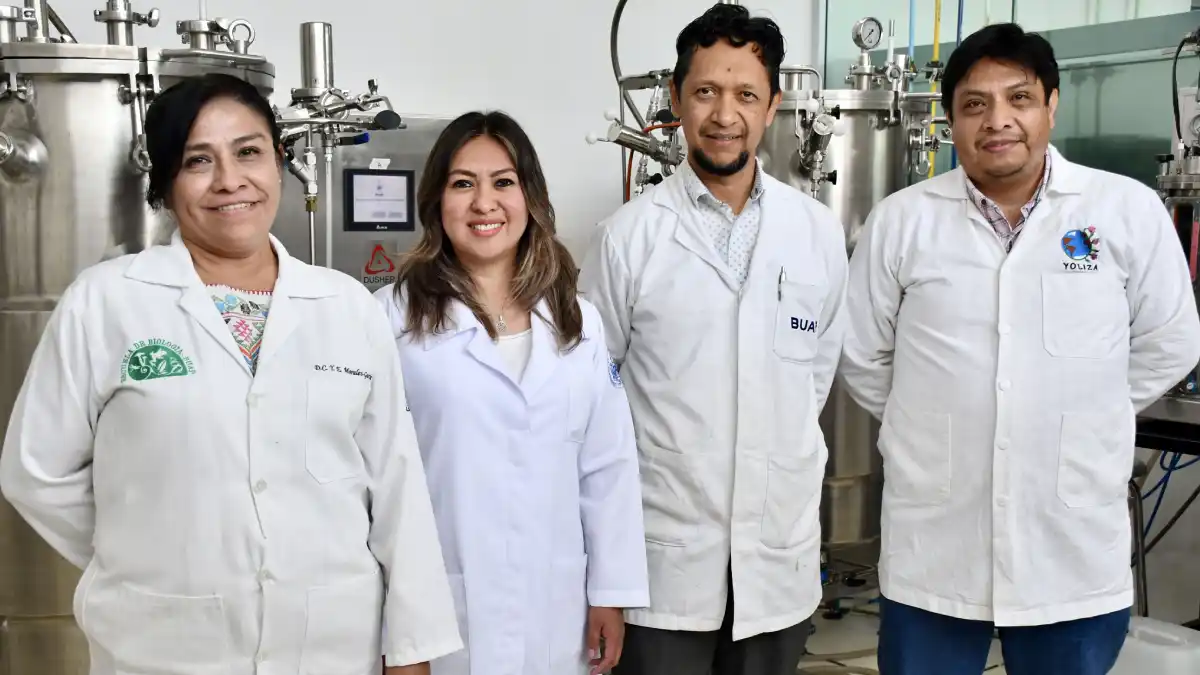 Inocrep BUAP solución biotecnológica para una agricultura sustentable
