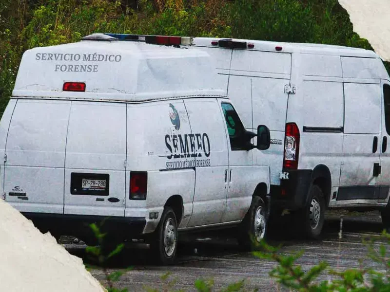 Encuentran cuerpo de hombre de talla baja entre Puebla y Tlaxcala; estaba rodeado de perros