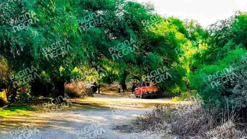 Ejecutan a dueño y repartidor de carnitas en Tepanco de López, Puebla; iban dejar un pedido