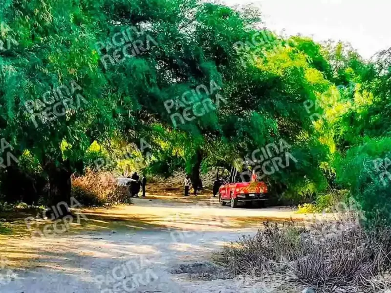 Ejecutan a dueño y repartidor de carnitas en Tepanco de López, Puebla; iban dejar un pedido