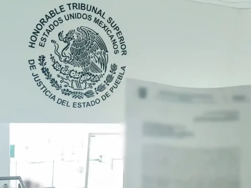 Gobierno de Texmelucan brinda acompañamiento a dueño de ser sintiente por acto de crueldad animal