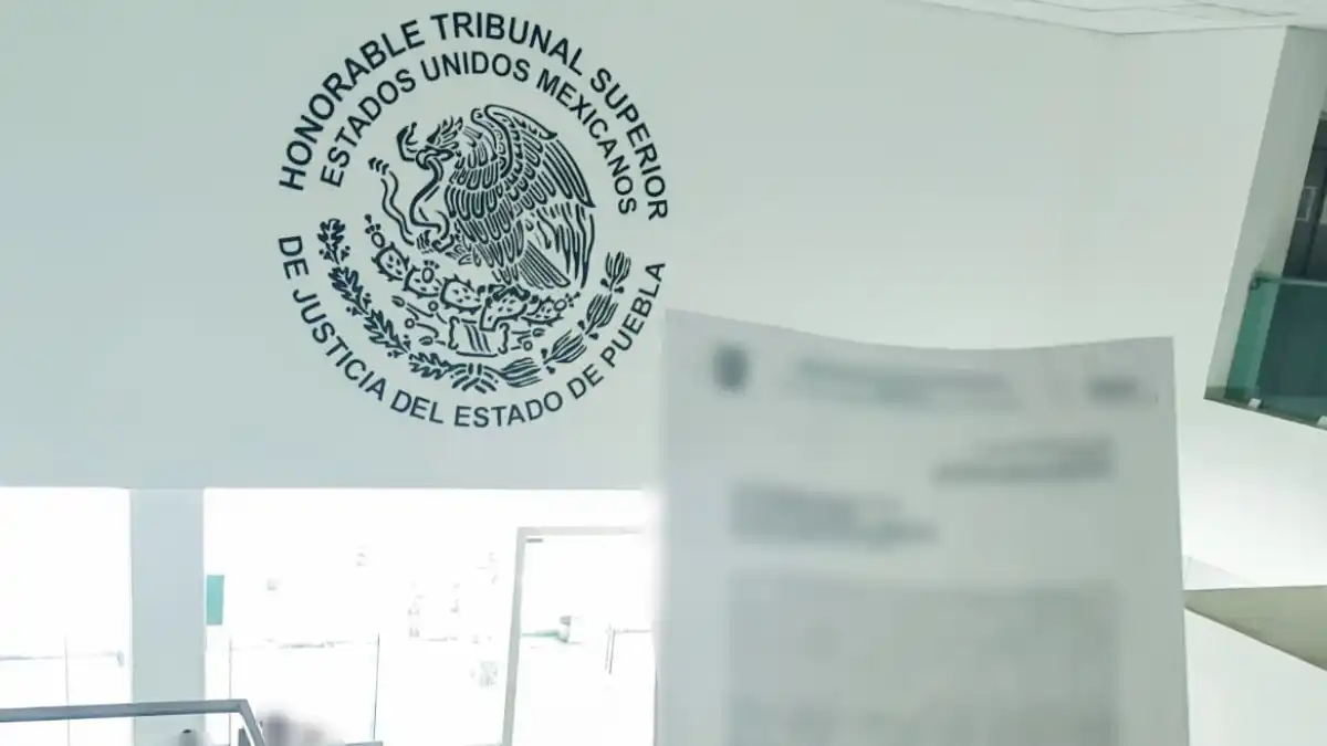 Gobierno de Texmelucan brinda acompañamiento a dueño de ser sintiente por acto de crueldad animal