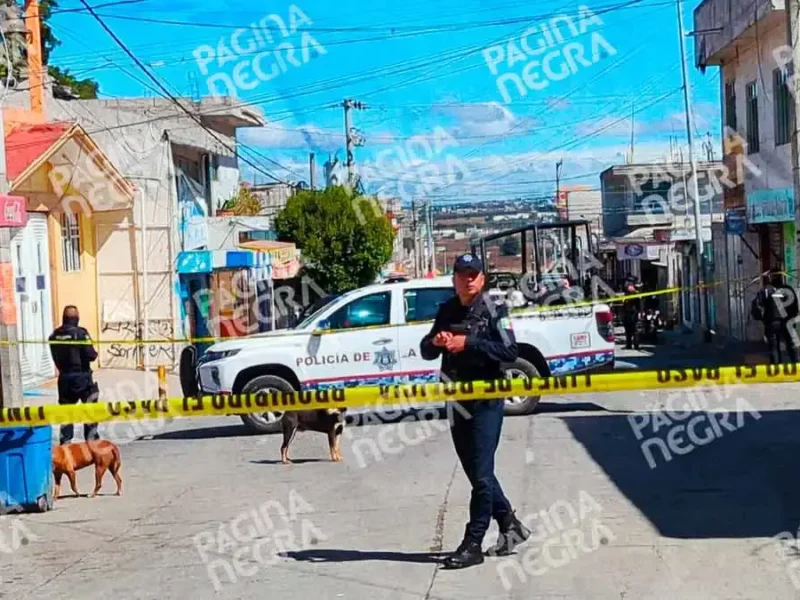 Ejecutan a pareja dentro de su camioneta en Xochimehuacan, Puebla; conductor se estrelló tras ataque