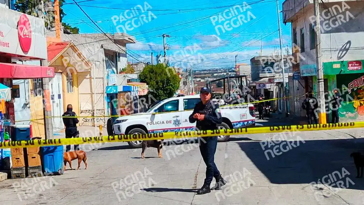 Ejecutan a pareja dentro de su camioneta en Xochimehuacan, Puebla; conductor se estrelló tras ataque