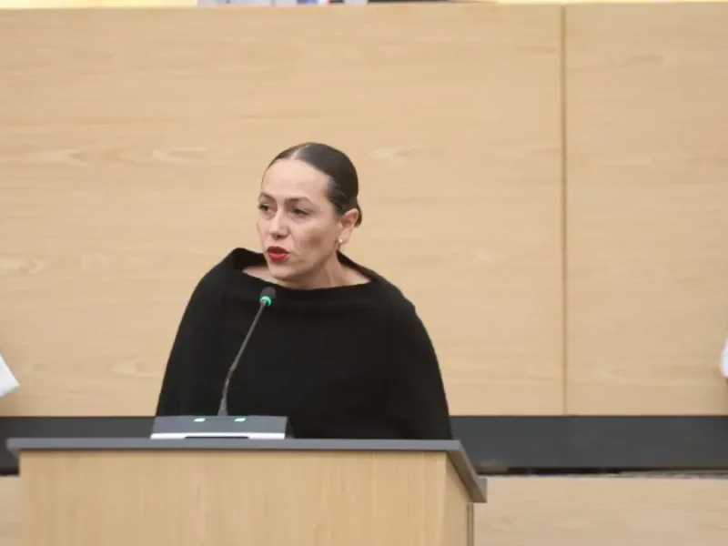 Fomento al consumo local y economía de proximidad, propuesta de la diputada Ana Laura Gómez