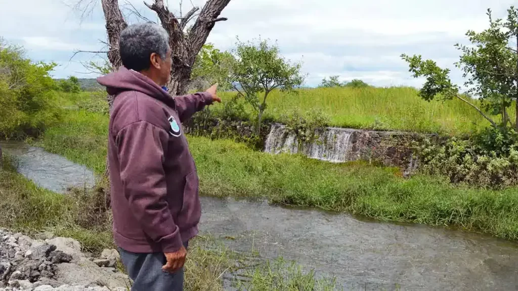 Sube a 22 el número de muertos por lluvias en Puebla al 23 de octubre