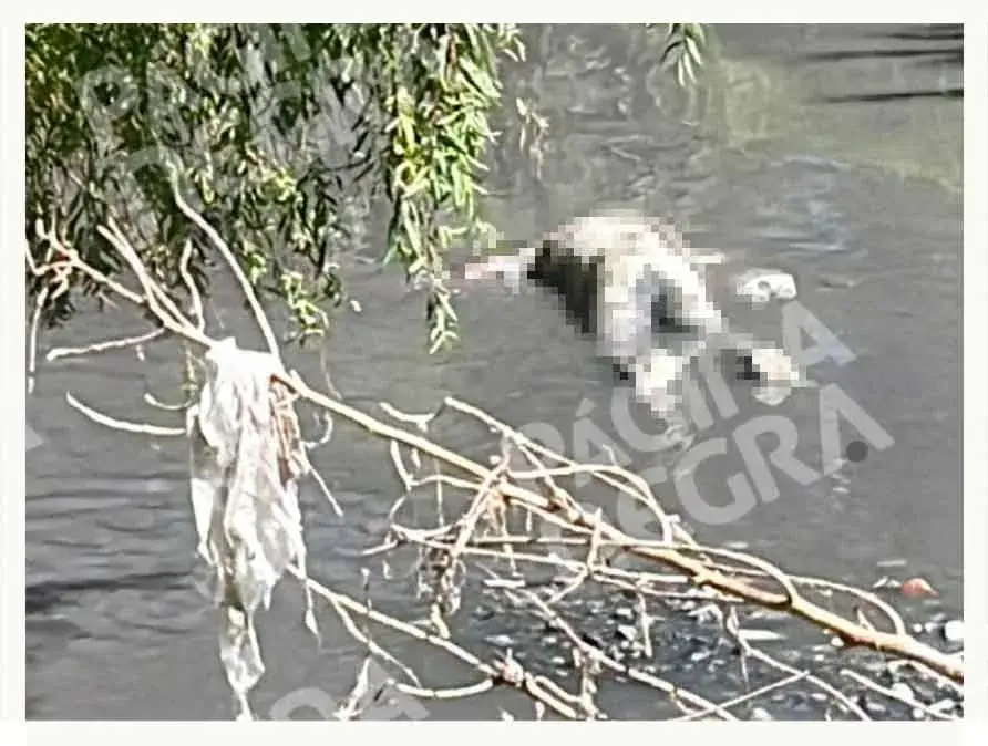 Encuentran cuerpo flotando en el Río Alseseca, en San Francisco Totimehuacan