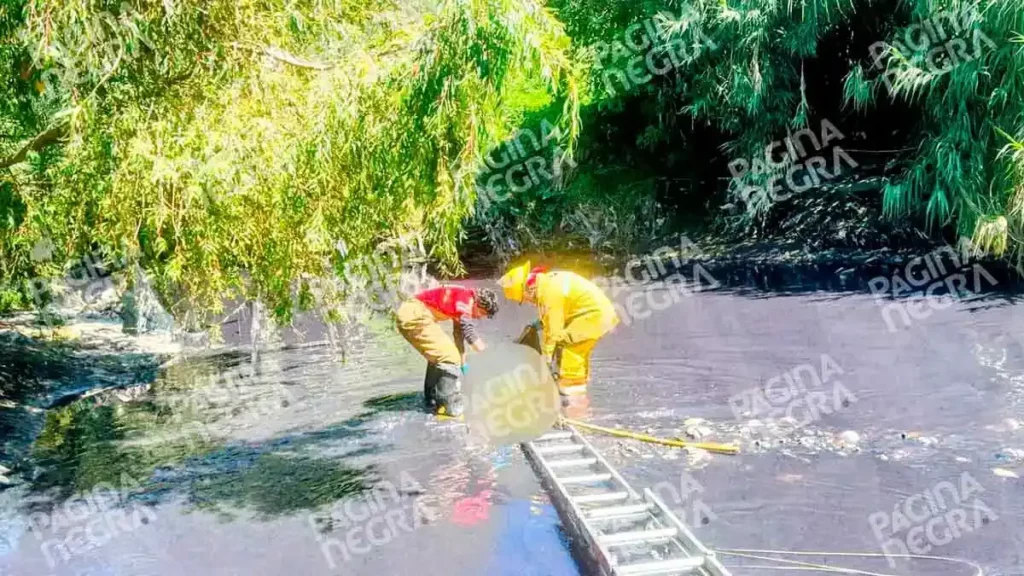Encuentran cuerpo flotando en el Río Alseseca, en San Francisco Totimehuacan