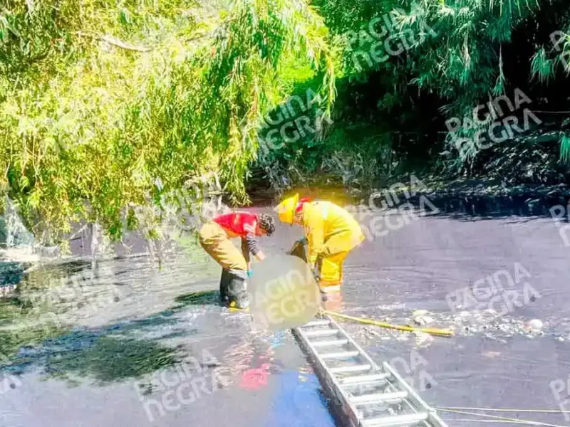 Encuentran cuerpo flotando en el Río Alseseca, en San Francisco Totimehuacan