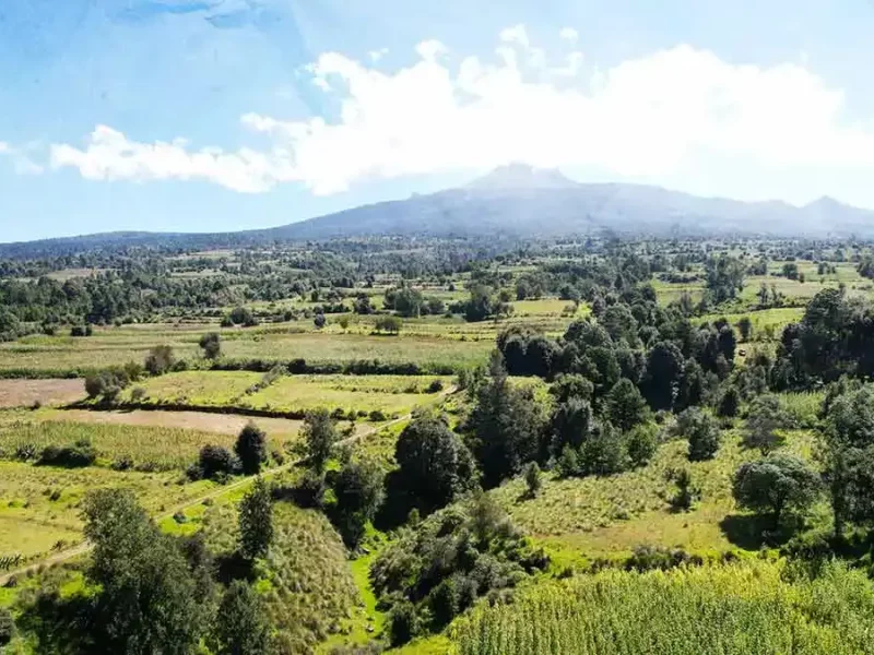 Semarnat autoriza la construcción del Ecoparque Tlalli-Malinche al gobierno de Puebla