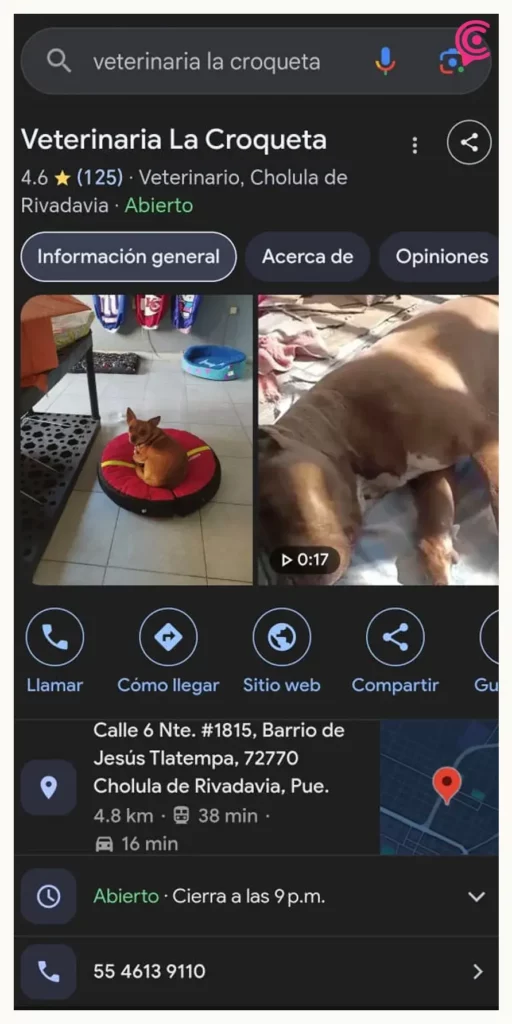 Acusan a veterinaria “La Croqueta” de Cholula por negligencia y maltrato a un gato
