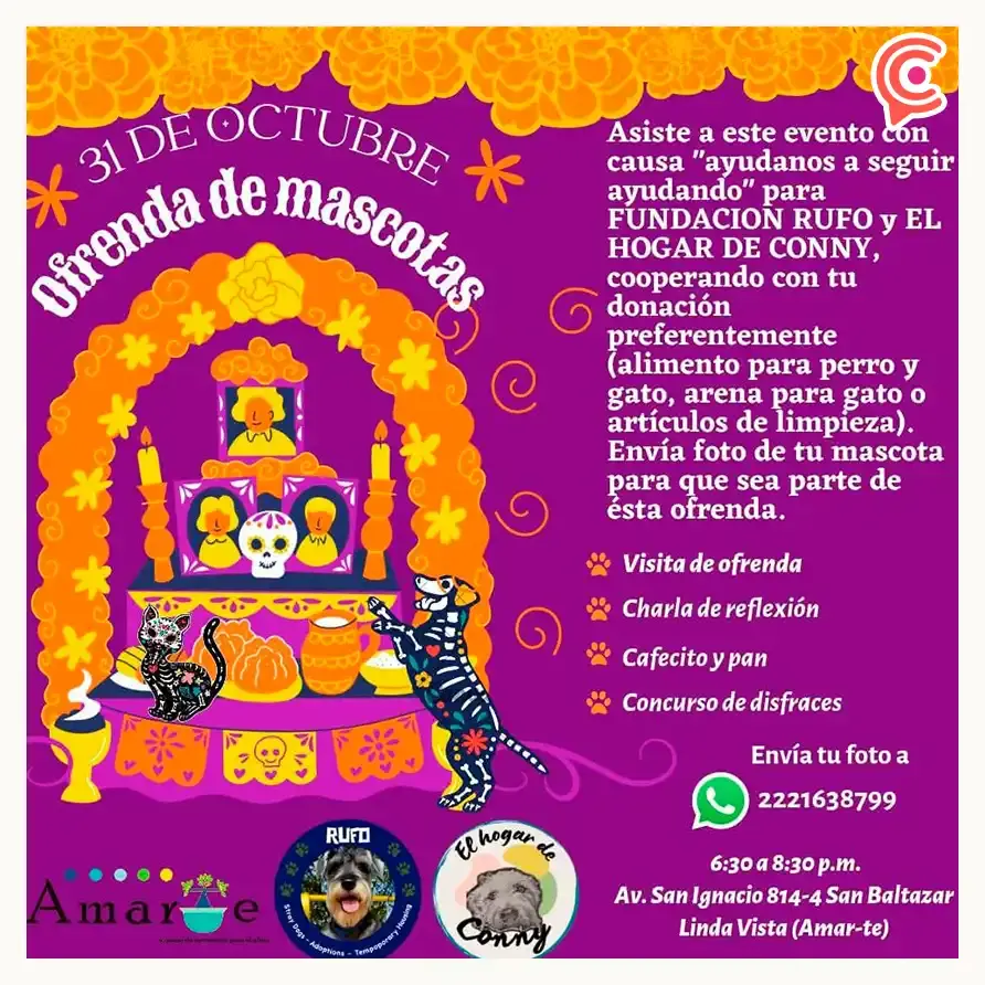 Asociación Rufo invita a su ofrenda solidaria para ayudar a mascotas de Puebla