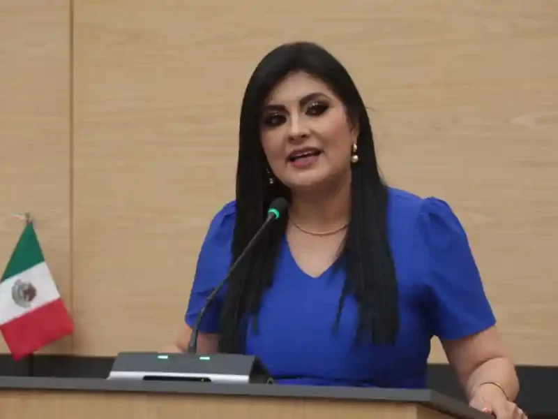Impulsa Delfina Pozos iniciativa para reconocer y atender la salud mental materna en los servicios de salud pública
