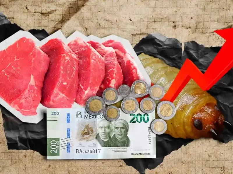 Gusano barrenador provoca alza de precios de carne en Puebla: Minutti Lavazzi
