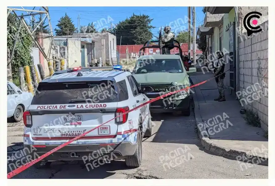 Hallan cabeza de mujer en una barranca de La Resurrección, Puebla; era devorada por perros