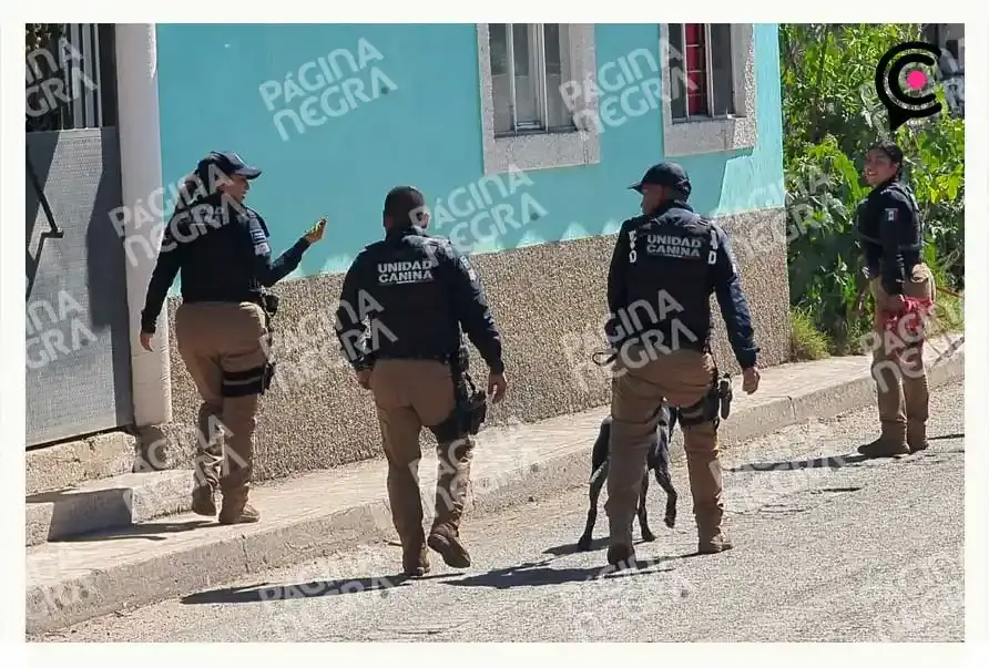 Hallan cabeza de mujer en una barranca de La Resurrección, Puebla; era devorada por perros