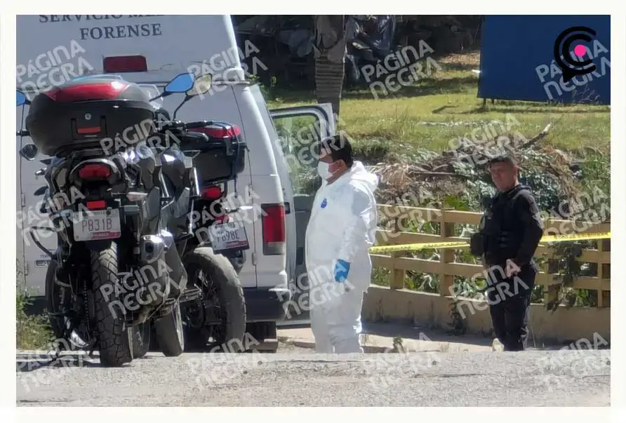 Hallan cabeza de mujer en una barranca de La Resurrección, Puebla; era devorada por perros