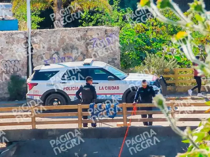 Hallan cabeza de mujer en una barranca de La Resurrección, Puebla; era devorada por perros