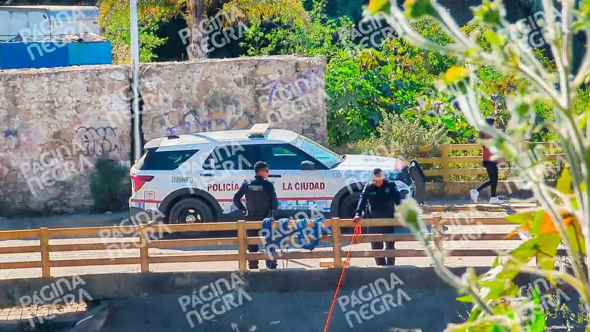 Hallan cabeza de mujer en una barranca de La Resurrección, Puebla; era devorada por perros