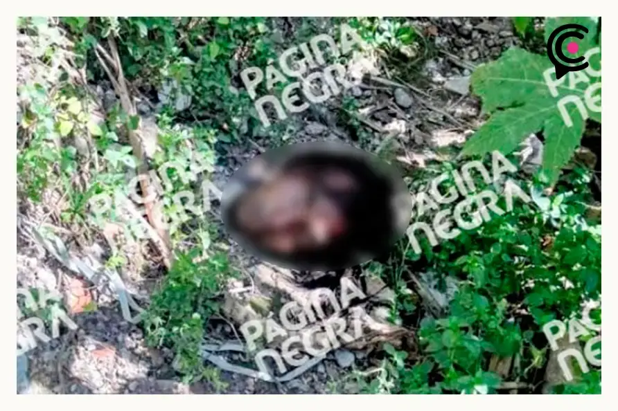 Confirman que cabeza encontrada en barranca es de hombre desmembrado en La Resurrección, Puebla
