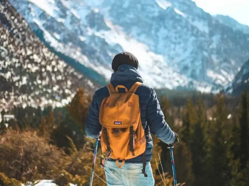 Cotizador de seguros de viaje: tu herramienta esencial para viajar protegido 