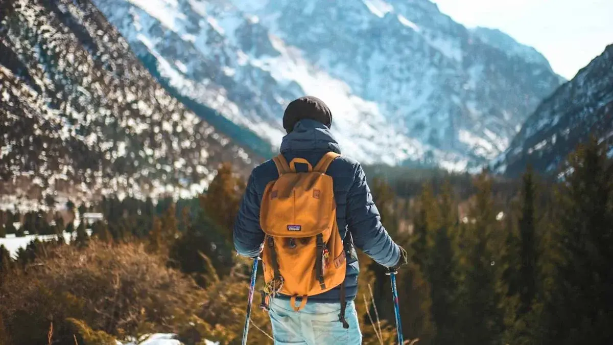 Cotizador de seguros de viaje: tu herramienta esencial para viajar protegido 