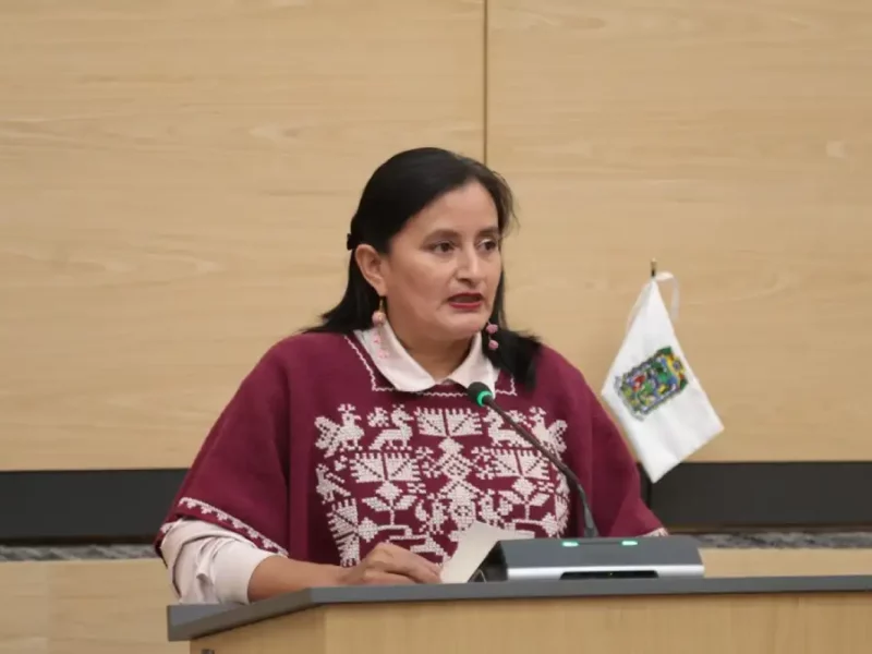 Impulsa diputada Esther Martínez protección legal y cultural a los bordados tradicionales de Hueyapan