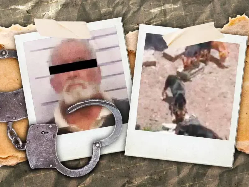 Liberan a Hugo Porfirio N., acusado de crueldad animal en Puebla; animalistas exigen justicia