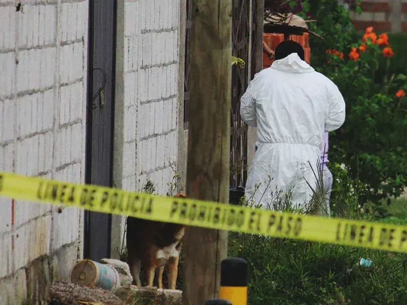 Ejecutan a tres hombres durante ataque de un grupo armado en Eloxochitlán, Puebla