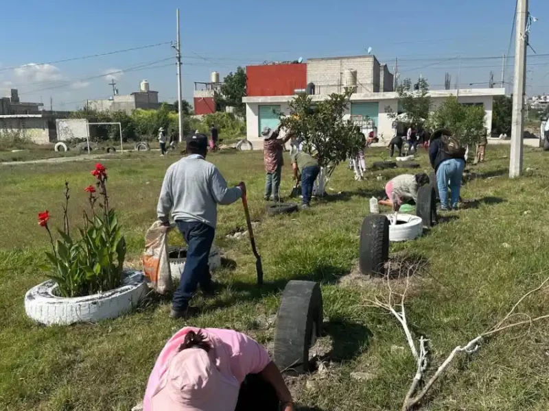 Fortalece Gobierno de la Ciudad acciones de reforestación con 2 mil 600 árboles gracias a Raíces del Futuro en el mes de octubre