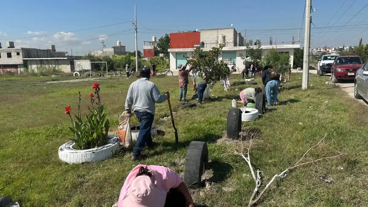 Fortalece Gobierno de la Ciudad acciones de reforestación con 2 mil 600 árboles gracias a Raíces del Futuro en el mes de octubre